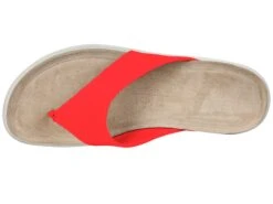 Ecco -Ecco 71jbIQsiiOL