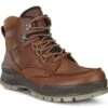 Ecco Men's Track 25 GTX High Bison/Bison -Ecco 831704 52600 main nfh