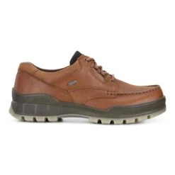 Ecco Men's Track 25 GTX Shoe Bison/Bison -Ecco 831714 52600 outside
