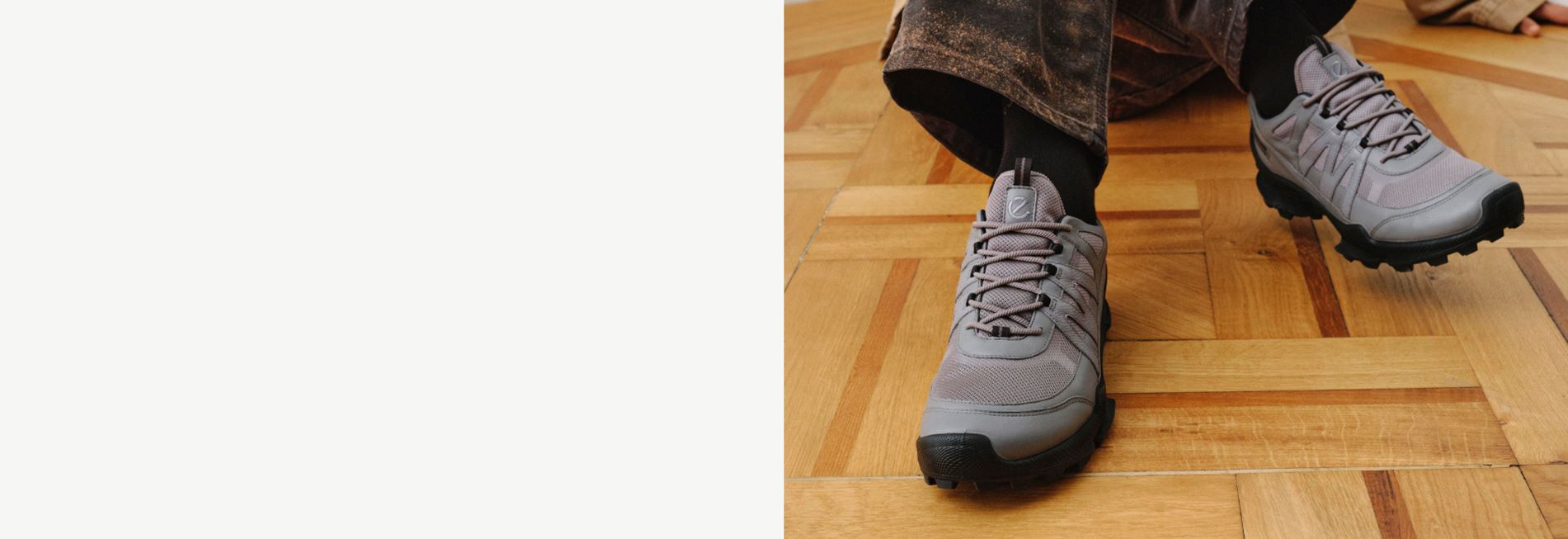 Ecco -Ecco Homepage August 5