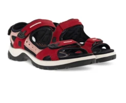 Ecco Women's Offroad Yucatan Sandals Chili Red/Damask Rose 9 Ecco Women's Offroad Yucatan Sandals Chili Red/Damask Rose -Ecco screenshot 2024 02 26 172452